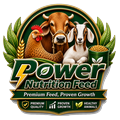 Power Nutrition Feed